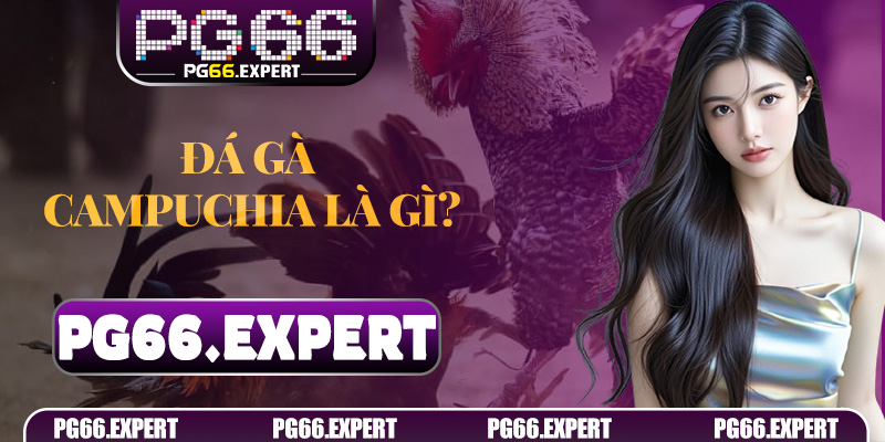 Đá gà Campuchia là gì? Tổng quan từ A – Z