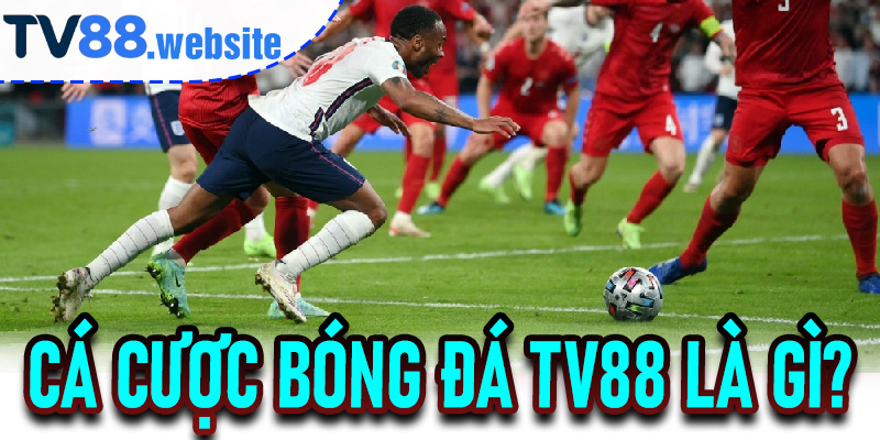 Cá Cược Bóng Đá TV88 là gì?