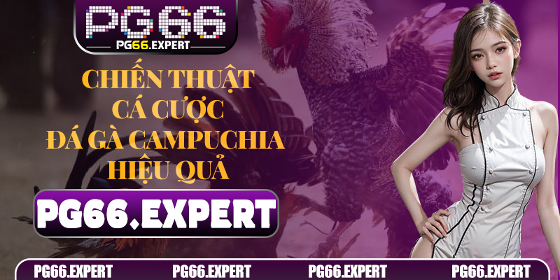 Chiến thuật cá cược Đá gà Campuchia hiệu quả