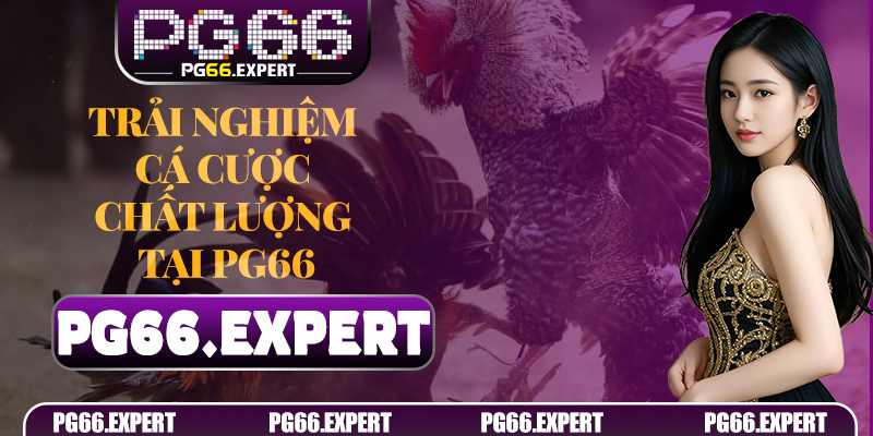 Trải nghiệm cá cược chất lượng tại PG66