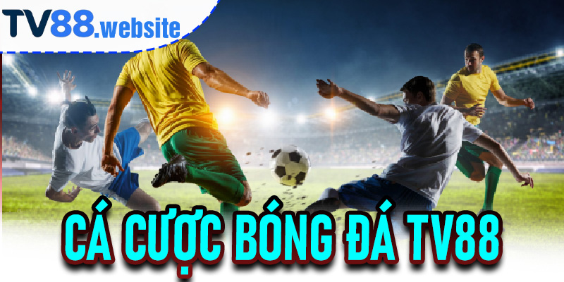 Cá Cược Bóng Đá TV88