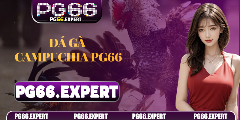 Đá gà Campuchia PG66 – Trò Chơi Cá Cược Hấp Dẫn Cho Người Thông Minh